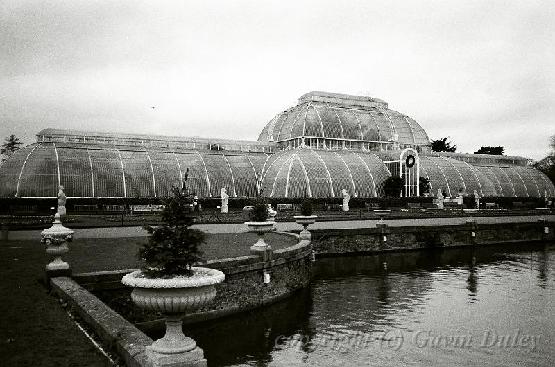 Palm House, Kew Gardens, London 12340005.JPG
